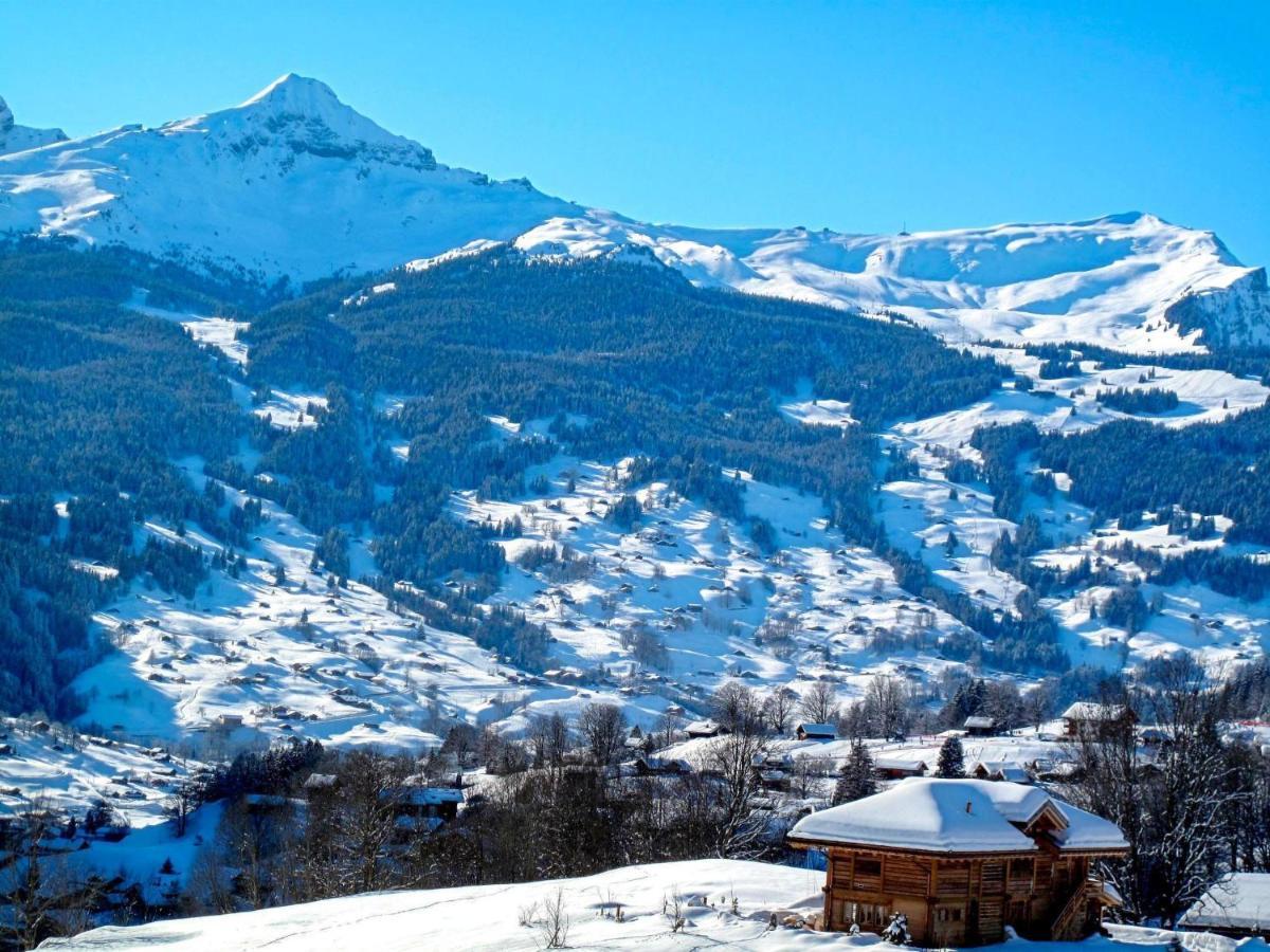 Holzwurm By Interhome Apartmán Grindelwald